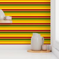 BN11 - Summer Romp Stripes in Red - Orange - Yellow - Green 