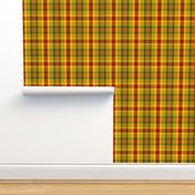 BN11 - Summer Romp Crisscross Plaid in red - orange - yellow - green - Large Scale