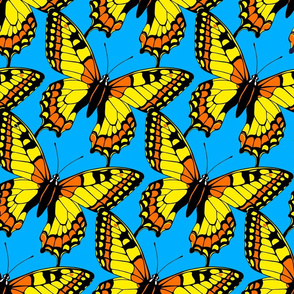 Butterflies Monarch on Blue
