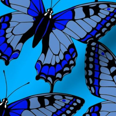 Butterflies Blue on Blue