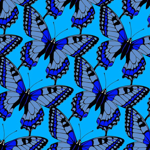 Butterflies Blue on Blue