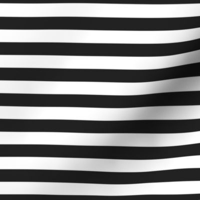 FS Raven Black and White Half Inch Stripe