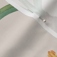 Dragonfly Garden Modest White //XL