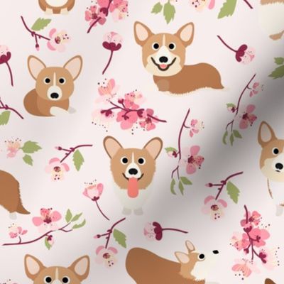9" Corgi in spring florals fabric, cherry blossom sakura in asia, pink