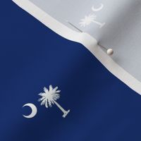 SC Flag Palmetto Moon Columbia SC SOUTH CAROLINA