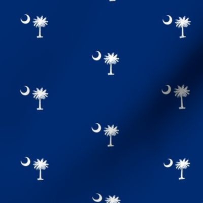 SC Flag Palmetto Moon Columbia SC SOUTH CAROLINA