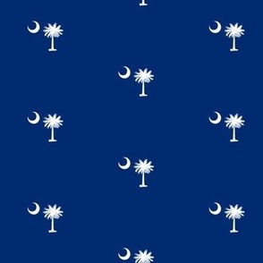 SC Flag Palmetto Moon Columbia SC SOUTH CAROLINA