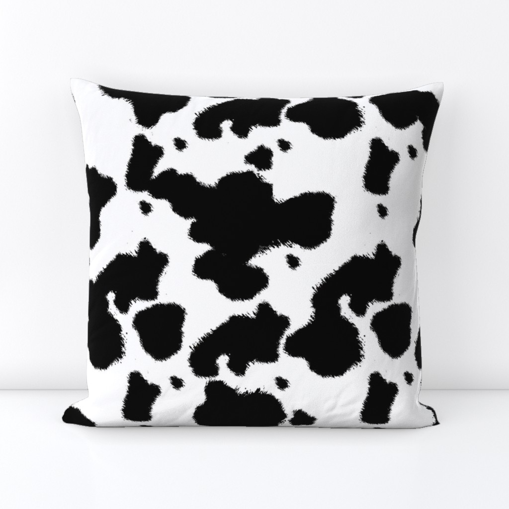 Black Longhorn Cow Spots