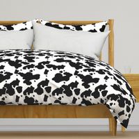 Black Longhorn Cow Spots