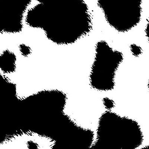 Black Longhorn Cow Spots