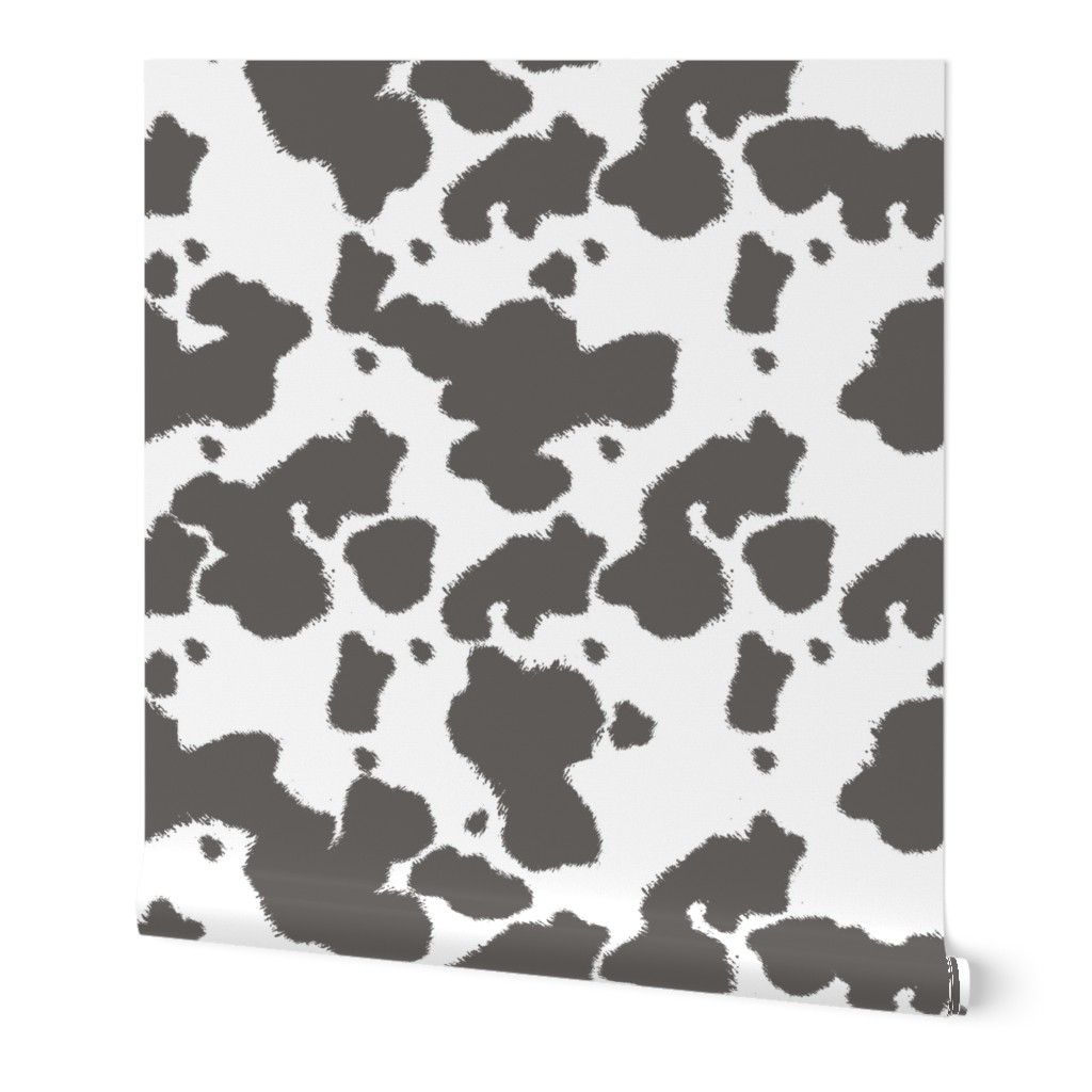Gray Longhorn Cow Spots