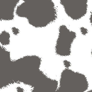 Gray Longhorn Cow Spots