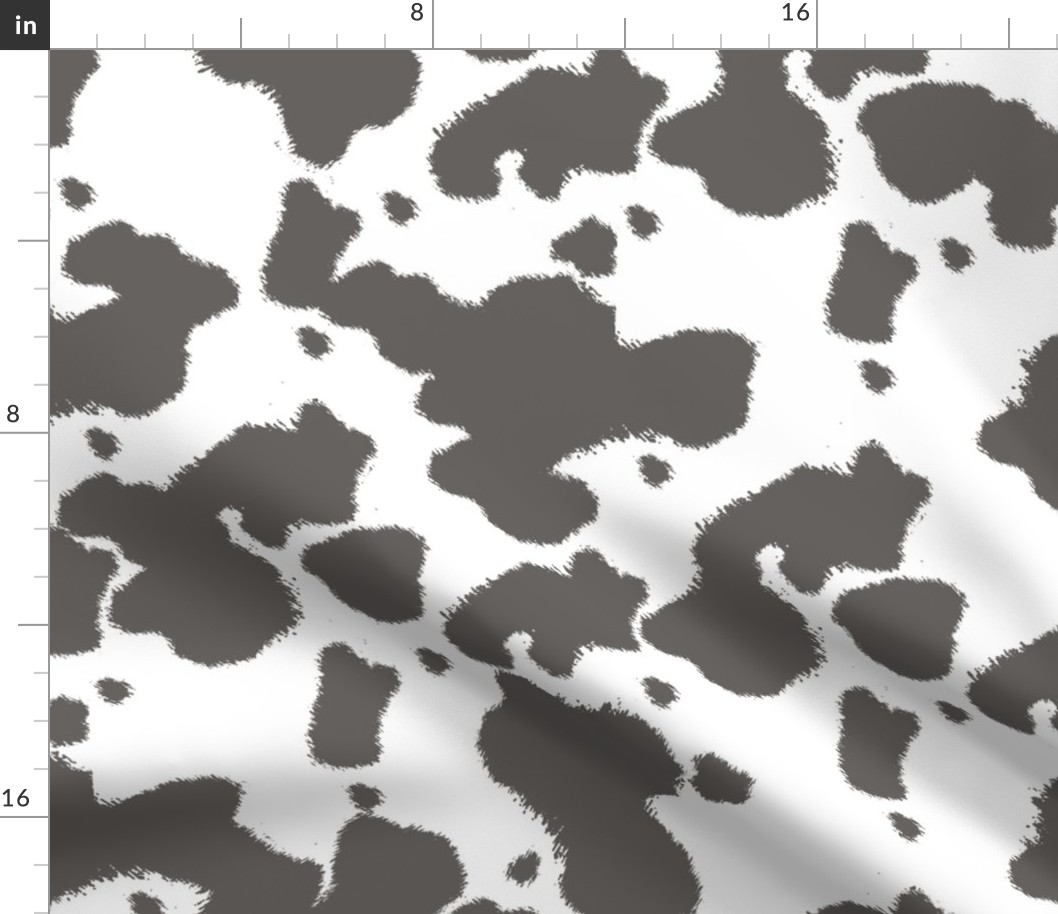 Gray Longhorn Cow Spots