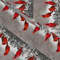 Red Cardinals on Snowy Fence