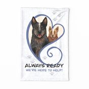 ACD blue heeler dogs tea towel