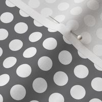 FS Medium White Polka Dot on Steel Grey