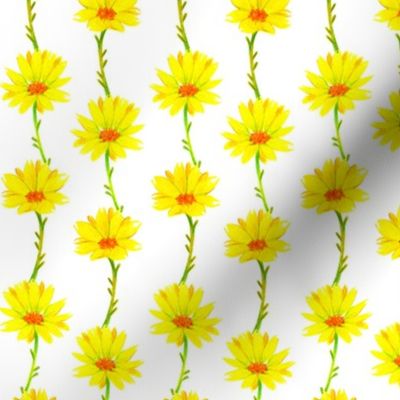 Daisy Chains