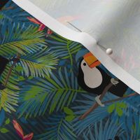 Toucans Colorful Small