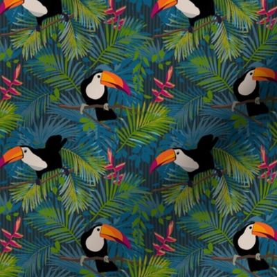 Toucans Colorful Small