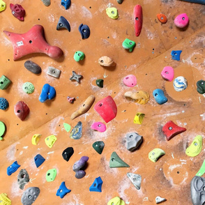 Colorful free climbing bouldering holds wall wood and multi-color FAT QUARTER