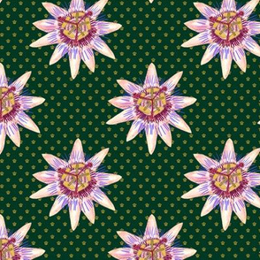 Royal Passionflower N2 (royal green) small