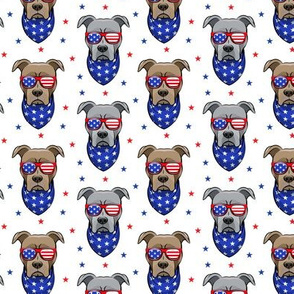 (small scale) patriotic Pit Bull white with stars  (red and blue)
