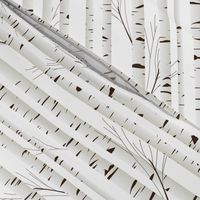 Birch Wood Trees on Snowy White