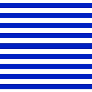 1" Horizontal Cobalt Blue and White Stripe