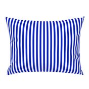 1/2" Vertical Cobalt Blue and White Stripe