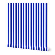 3/4" Vertical Cobalt Blue and White Stripe