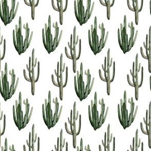 4" Western Watercolor Cactus // White