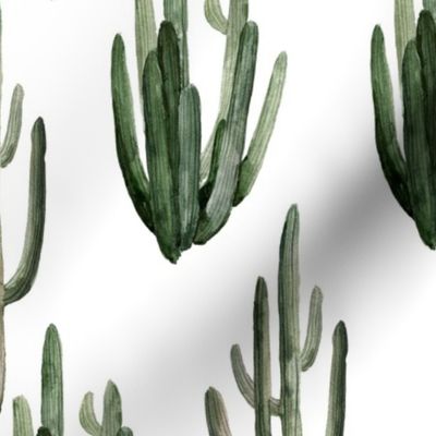 12" Western Watercolor Cactus // White