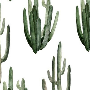 12" Western Watercolor Cactus // White