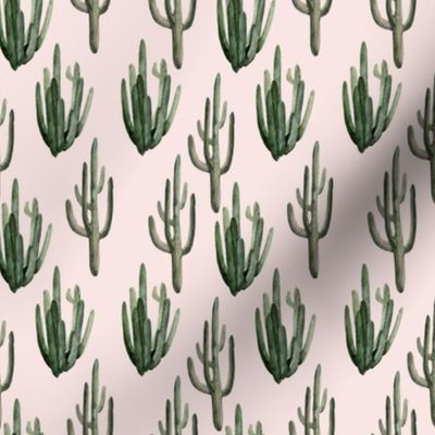 4" Western Watercolor Cactus // Blush