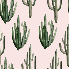 8" Western Watercolor Cactus // Blush