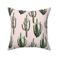 12" Western Watercolor Cactus // Blush
