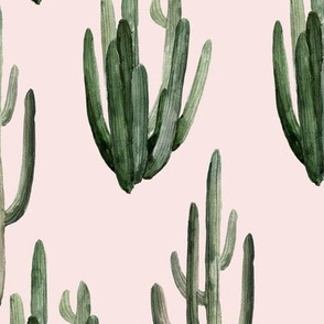 12" Western Watercolor Cactus // Blush