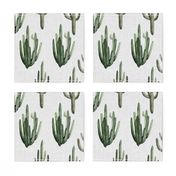 12" Western Watercolor Cactus // Light Gray Linen