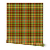BN12 -  SM - Hot and Cold plaid