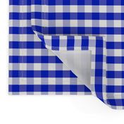 1/2" Cobalt Blue and White Gingham Check