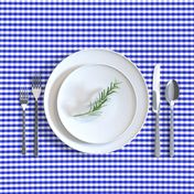 1/4" Cobalt Blue and White Gingham Check