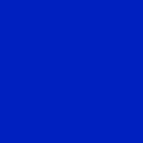 Solid Deep Cobalt Blue Color Coordinate