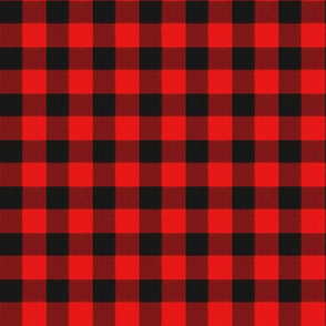 Textured Black and Red Gingham Checks