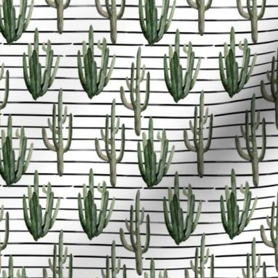 4" Western Watercolor Cactus // Black Stripes