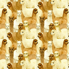 alpacas (medium scale)