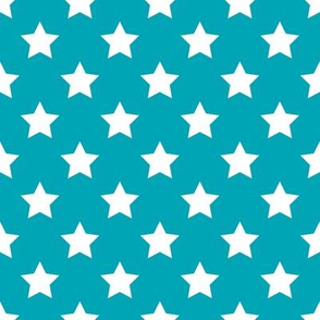 FS Poolside Blue with White  Stars