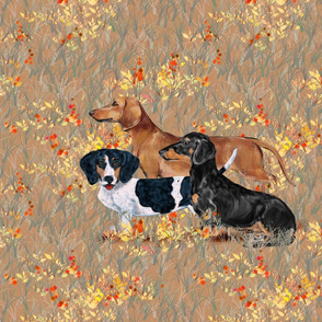 Three Dachshunds in Wildflower Field for Pillow