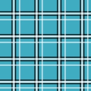 Plaid 2 Vienna Blue