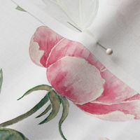 18" Rose Blush Peonies Flowers on White