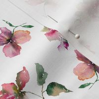 Delicate roses. Pink watercolor florals